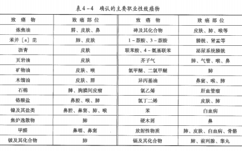 2023年中级注册安全工程师管理真题解析完整版已更新
