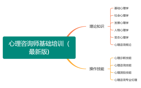 重要：2024年8月心理咨询师考试重点章节汇总