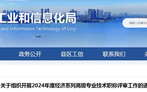 2024年山东临沂高级经济师职称评审通知