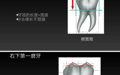 全国口腔执业医师考试成绩单：医学生职业生涯的关键成就与未来展望