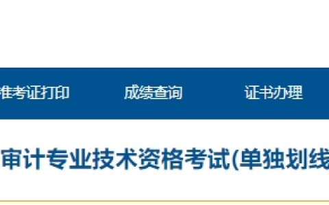2023年青海初级审计师考试(单独划线地区)考后资格复核时间为4月15日至4月17日