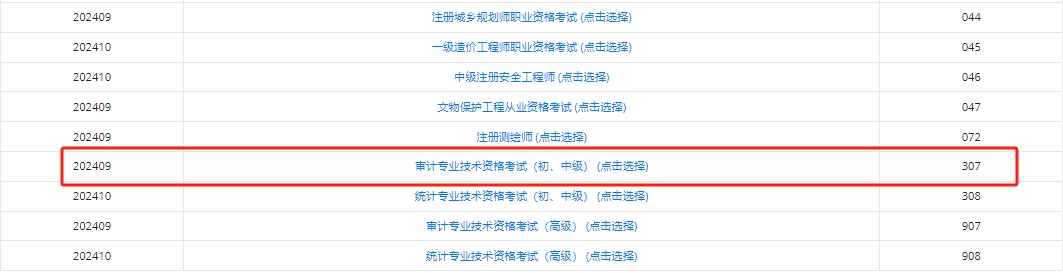 审计师考试准考证打印入口
