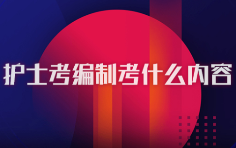 护士考编制考什么内容