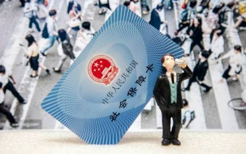 2025年执业兽医考试在校学生证明格式全解析，这些要点要注意