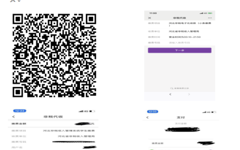 2020年河北保定医师实践技能缴费操作流程最新版