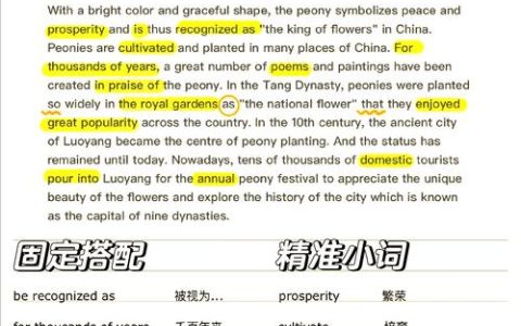 HSK六级写作通关要点：词汇积累与语法运用详细介绍