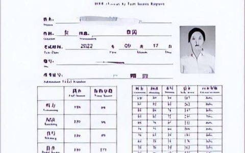 HSK优胜者奖学金：荣誉与物质奖励兼具，推动汉语学习传播