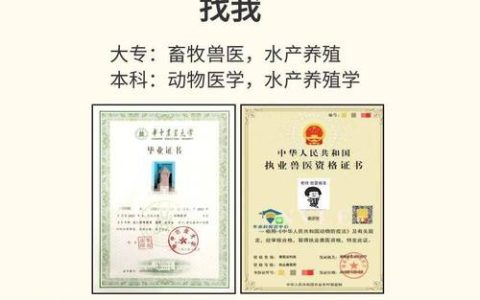 2025年执业兽医考试在校学生证明格式的关键及必备内容
