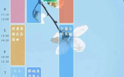 大理学院HSK课程及服务详情：丰富课程与规范考试安排