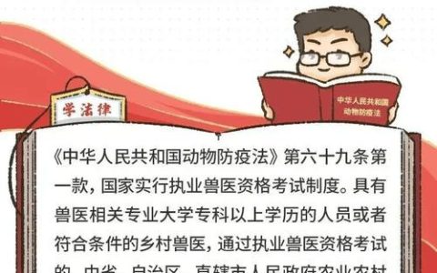 执业兽医资格证：兽医行业发展必备及报考条件全解析