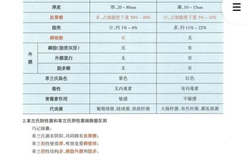 中国兽医从业者必看：执业兽医考试重要性及报名条件详解