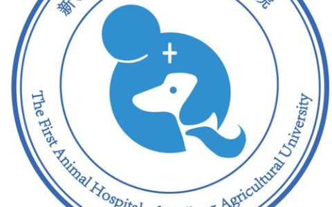兽医执业资格证书：从业必备、象征专业且带来诸多优势