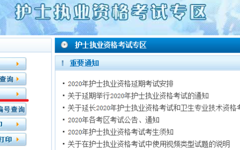2020年护士资格考试成绩查询入口在哪里？