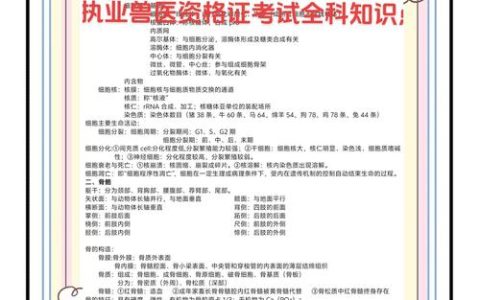 参加兽医资格考试？做好这些关键准备，确保顺利过关