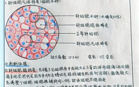 执业兽医资格考试：兽医动物病理学典型习题及细胞水肿成因解析