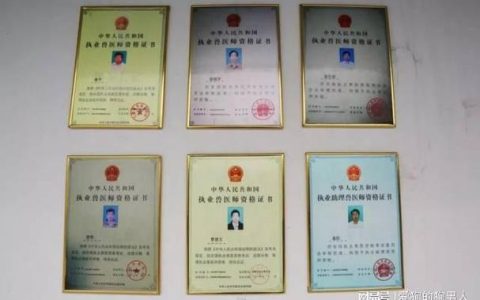 兽医从业资格证用途大揭秘！关乎职业前景与动物健康诊疗