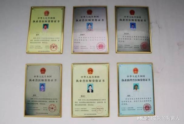 执业兽医资格证怎么样_执业证书兽医怎么考_执业兽医证书