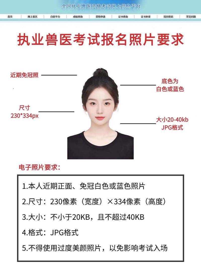 执业兽医报名考试照片怎么上传_执业兽医考试报名照片_执业兽医报名考试照片要求