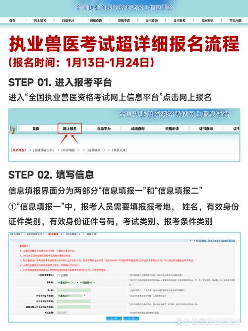 执业兽医考试报名网_中国执业兽医考试报名_全国执业兽医资格考试报名