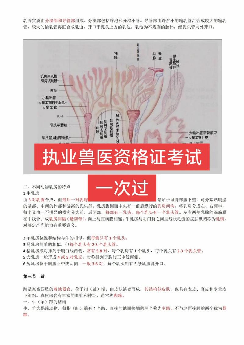 执业兽医资格考试模拟试题_执业兽医考试视频_执业兽医考试课件