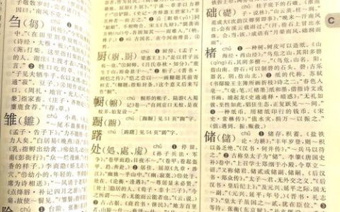 HSK考生必看！如何挑选一本优质的汉字学习字典？