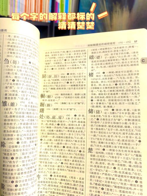 hsk的书_hsk汉字学习字典_hsk汉语词汇