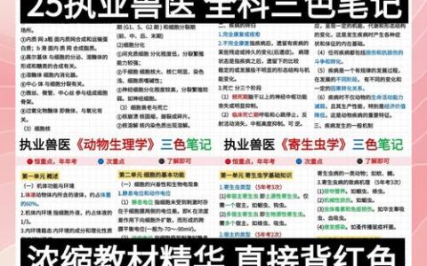 执业兽医考试怎么备考？3大高效方法：理论+真题+记忆卡片
