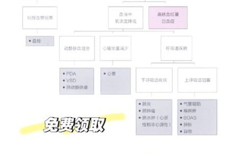 动物病理学备考指南：掌握核心考点，提升兽医临床诊断能力