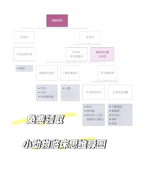 兽医病理诊断试题_执业兽医资格证考试兽医动物病理学习题_兽医临床病理学试题