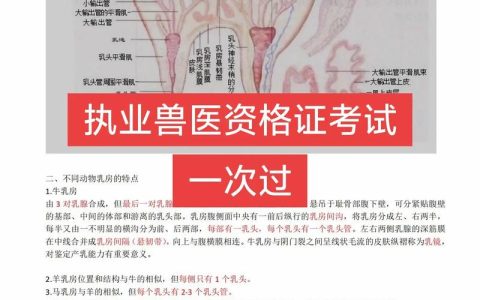 执业兽医考试怎么备考？备战攻略：系统复习与真题练习，助你成功获取执业资格