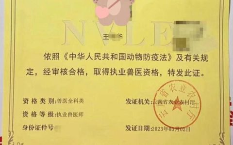 兽医执业资格证考试：备考策略、难点解析与执业应用，助你跨越职业门槛