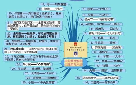 执业兽医考试怎么备考？掌握这3点：系统规划、真题练习、理论与实践结合
