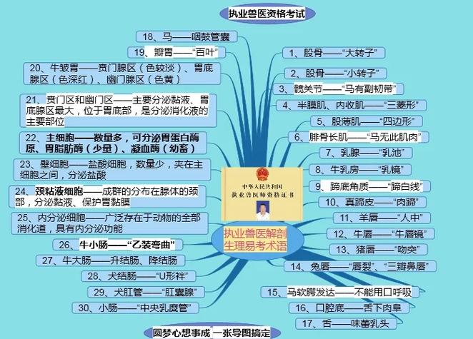 执业兽医考试_执业兽医考试条件_执业兽医考试科目