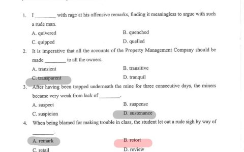 CATTI二级笔译评分标准解析：如何平衡准确性与流畅性？真题答案助你高效备考