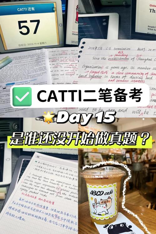 catti真题及答案_catti参考答案_catti2真题