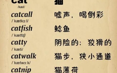 CATTI二笔词汇怎么背？政经术语+高效记忆法