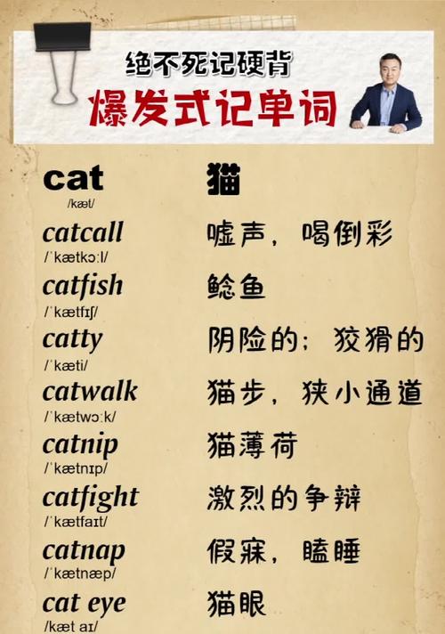 catti二级笔译词汇_catti词汇手册_catti笔译词典