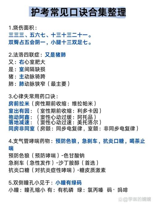 在编护士考试_护士在编考试考什么内容_护士在编考试都考什么