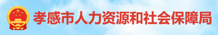 关于开展2026年度孝感市晋升卫生技术高级职务人员水平能力测试工作的通知