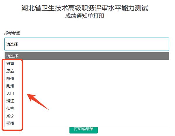 卫生职称考试成绩查询入口_卫生职称资格考试成绩查询2026年_卫生职称资格考试成绩查询2026年