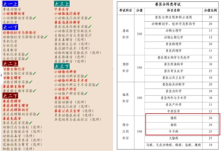 兽医执业资格考试2015_执业兽医资格证考试兽医动物病理学习题_兽医资格考试答题技巧